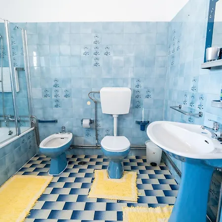 With Garden And Barbecue