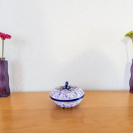 With Garden And Barbecue * 나자레