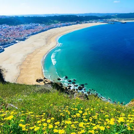 With Garden And Barbecue 나자레