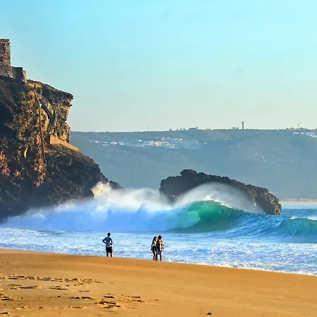 With Garden And Barbecue