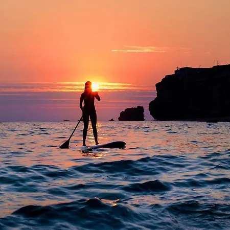 With Garden And Barbecue