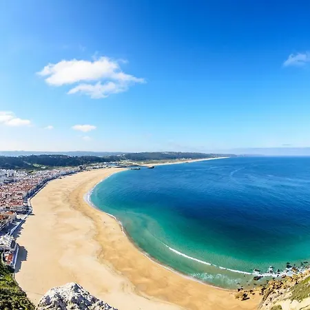 With Garden And Barbecue 펜션 나자레