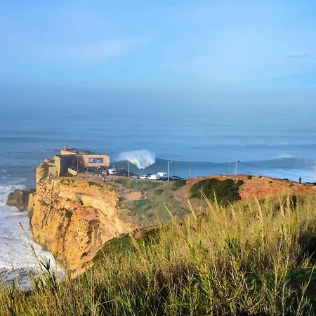 With Garden And Barbecue 나자레