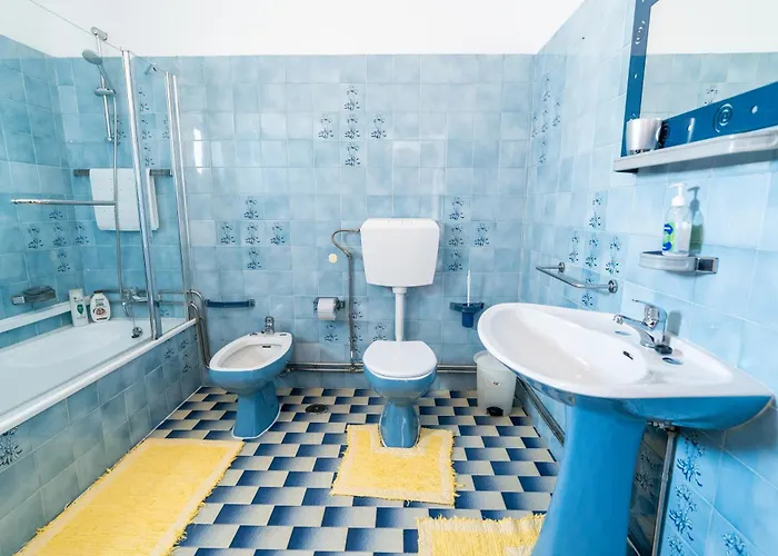 With Garden And Barbecue