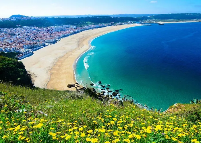 With Garden And Barbecue Nazare