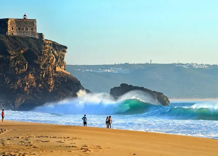 With Garden And Barbecue