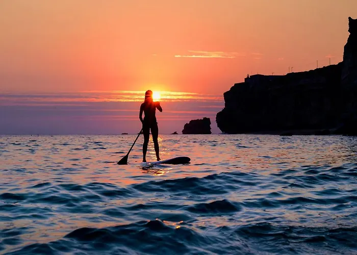 With Garden And Barbecue